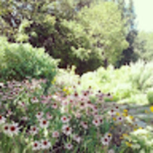 Meet your Posher, Miranda